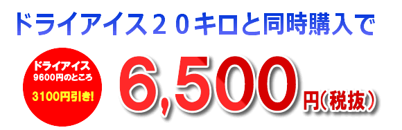 頑丈!密封!長持ち! ドライアイスの保管は、電源不要の究極の発泡スチロール『ドライアイス専用ボックス』にお任せください!